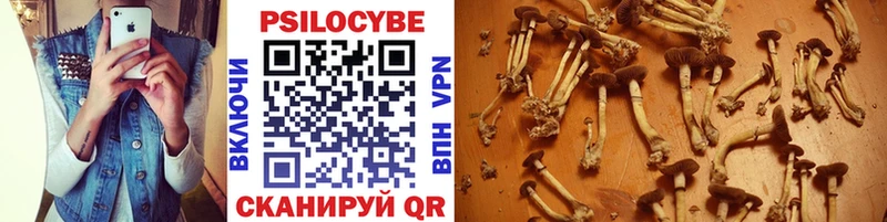 Галлюциногенные грибы GOLDEN TEACHER  где найти   Лаишево 