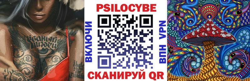 Псилоцибиновые грибы Psilocybine cubensis Лаишево